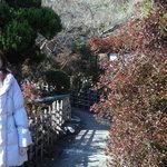 錦水亭 - お店の離れの小道も良い感じです～♪