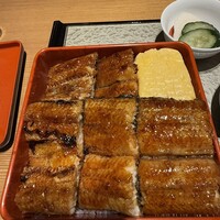 炭焼きうなぎ・かしわ 登河 池下店 - 