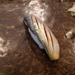 小判寿司 - 小肌