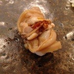 小判寿司 - 煮ハマグリ 九十九里産