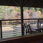 パスカル清見 - なんとも物悲しい落葉風景、今年は出遅れた。