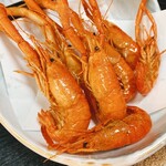 ひとすじ - 