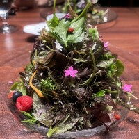 ジャッジョーロ銀座 - 