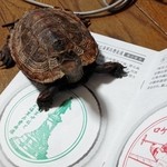 外苑休憩所 - 有料ですがスタンプラリーもやってるよ！by本生