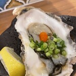 のりすけ 溝の口店 - 