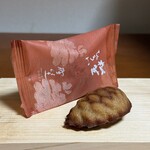 叶匠寿庵  - 松笠ひろい