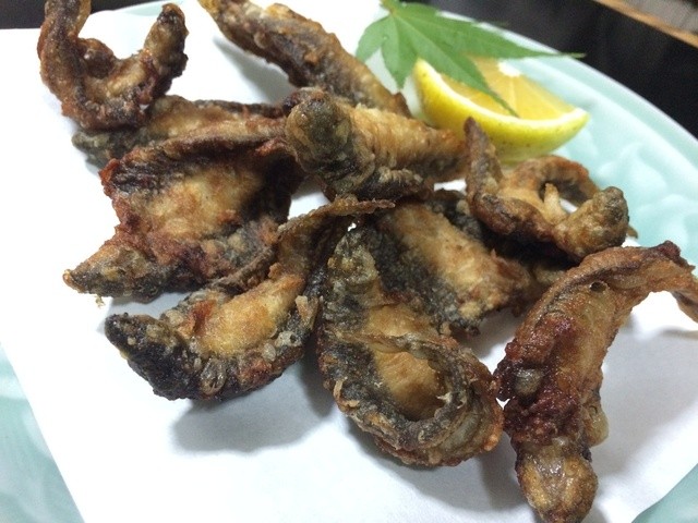 宇佐のドジョウ料理 By ロイ 別府 辰巳 豊前善光寺 割烹 小料理 食べログ 宇佐のドジョウ料理 By ロイ 別府 辰巳 豊前善光寺 割烹 小料理 食べログ