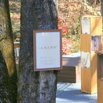 丸山珈琲  - 紅葉図書館では読書が楽しめる