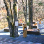 丸山珈琲  - 自然に包まれる紅葉図書館