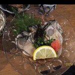 炊き餃子と九州の炉端酒場 晴レトキ - 蠣ポン酢