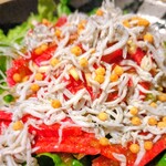 まつりや - シラスと大根のカリカリサラダアップ