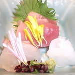 日本料理 花せんり - 向附