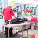 角上魚類 相模原店 - this　is  kaitai 　♬