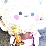 角上魚類 - 眩しーーーーーーーーッ