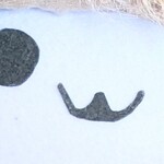 角上魚類 - ｳﾌﾌﾌﾌﾌﾌﾌﾌﾌﾌｳﾌ・・・