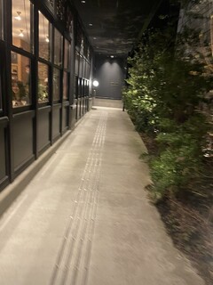 Jose Luis Karuizawa - 