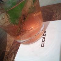 CICADA - 
