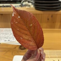 魚と炭と鉄板と ととと - 