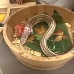 鮨よしかわ 海道 新宿 - 