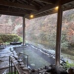 四季彩の宿 ふる里 - 