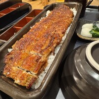 うなぎ四代目菊川 ミッドランドスクエア 名古屋本店 - 