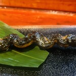 うなぎの寝床 - 
