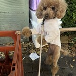 アガリコ 新宿 オリエンタルビストロ - 近くのビールケースでお得意のポーズｗ