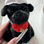 VUE MER (フェアモント東京) - 