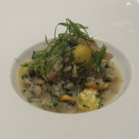 カンテサンス - 