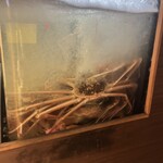 はれや別邸 - 立派な蟹がお出迎え