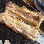 かぶと - 浜名湖産天然