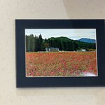 そばきり長助 - そばの花