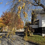 そばきり長助 - 駅前の紅葉