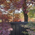 そばきり長助 - まるでアートのよう