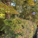 そばきり長助 - 通りめ生垣