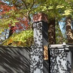 そばきり長助 - 光と影