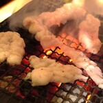 炭火焼 ゆうじ - ホルモン