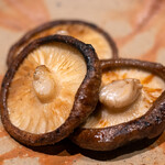 焼鳥 こばし - しいたけ