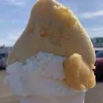 フルーツラボ 手摘屋 - ミルクジェラート と 旬の桃のソルベ の組み合わせ。そして、なんとサービスで 種なしあわせ柿のソルベ までひと口つけてくださいました。