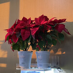 そば処 砂武縞 - 