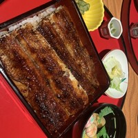 炭焼 うな富士 有楽町店 - 