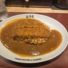 旨辛カレー専門店 白洋亭 - 料理写真: