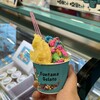 Fontana Gelato