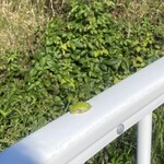 喫茶　来夢来人 - 