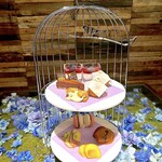 アンダの森 大阪天王寺タワー - 