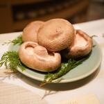 unis - 巨大しいたけ