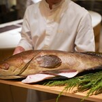 unis - 五島のクエ