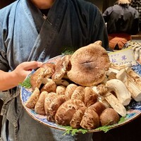 たでの葉 - 秋田産 松茸