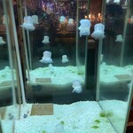 NEO SHOT BAR　深海の洞窟 - 店の象徴のひとつ、クラゲです