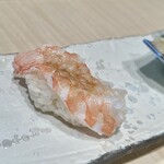 鮨・割烹 花絵巻 - すえび。プリッとした食感に甘みがぎゅっと詰まって美味。